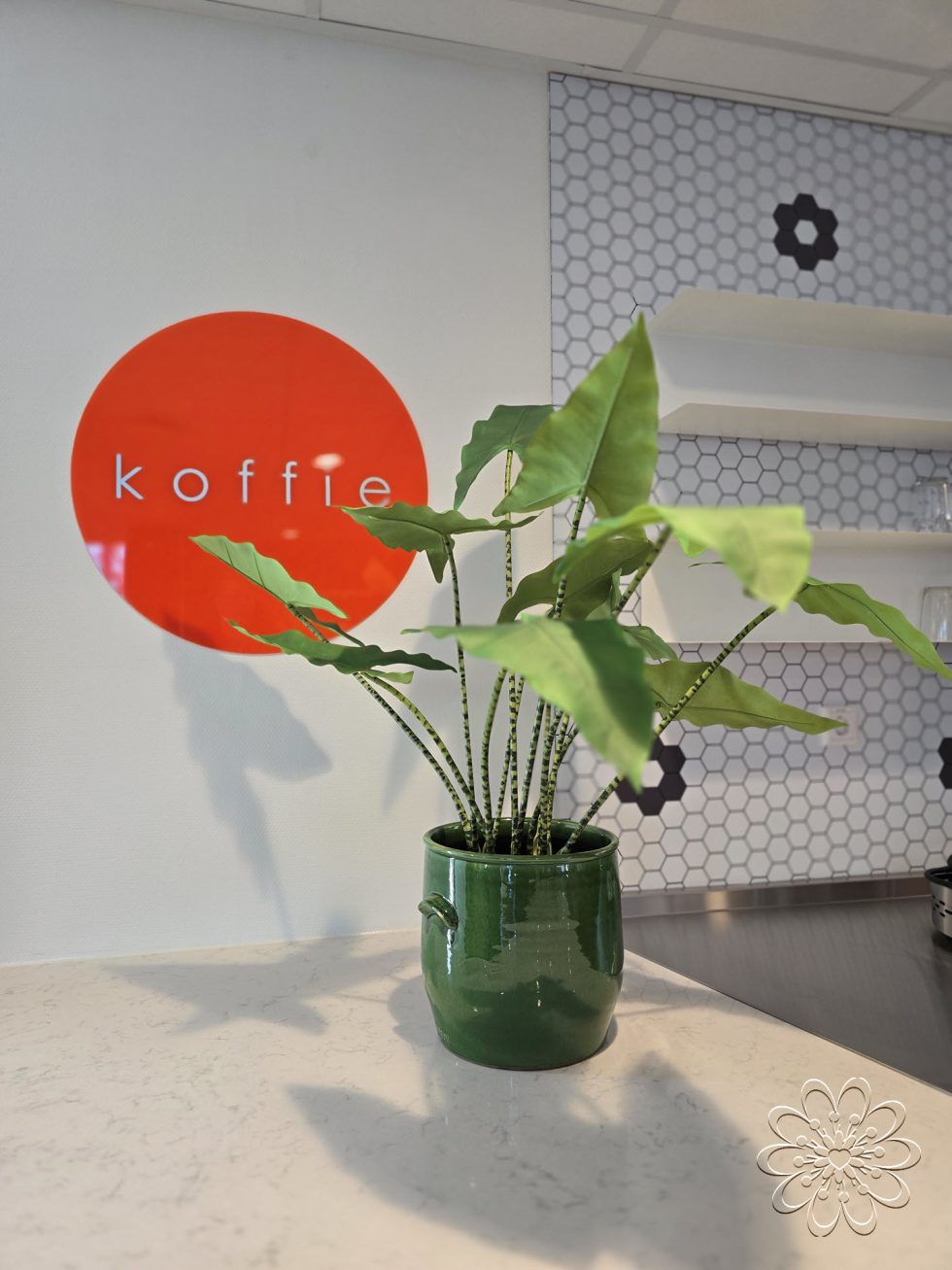 Zijden planten bij UMCG Centrum voor Revalidatie te Haren