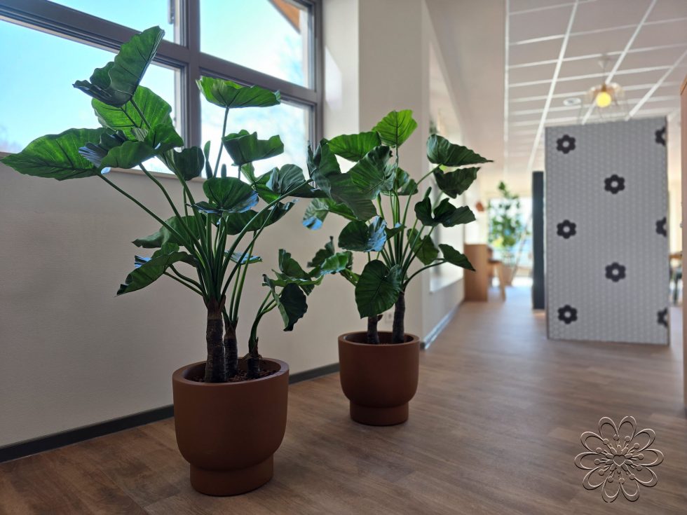 Zijden planten bij UMCG Centrum voor Revalidatie te Haren