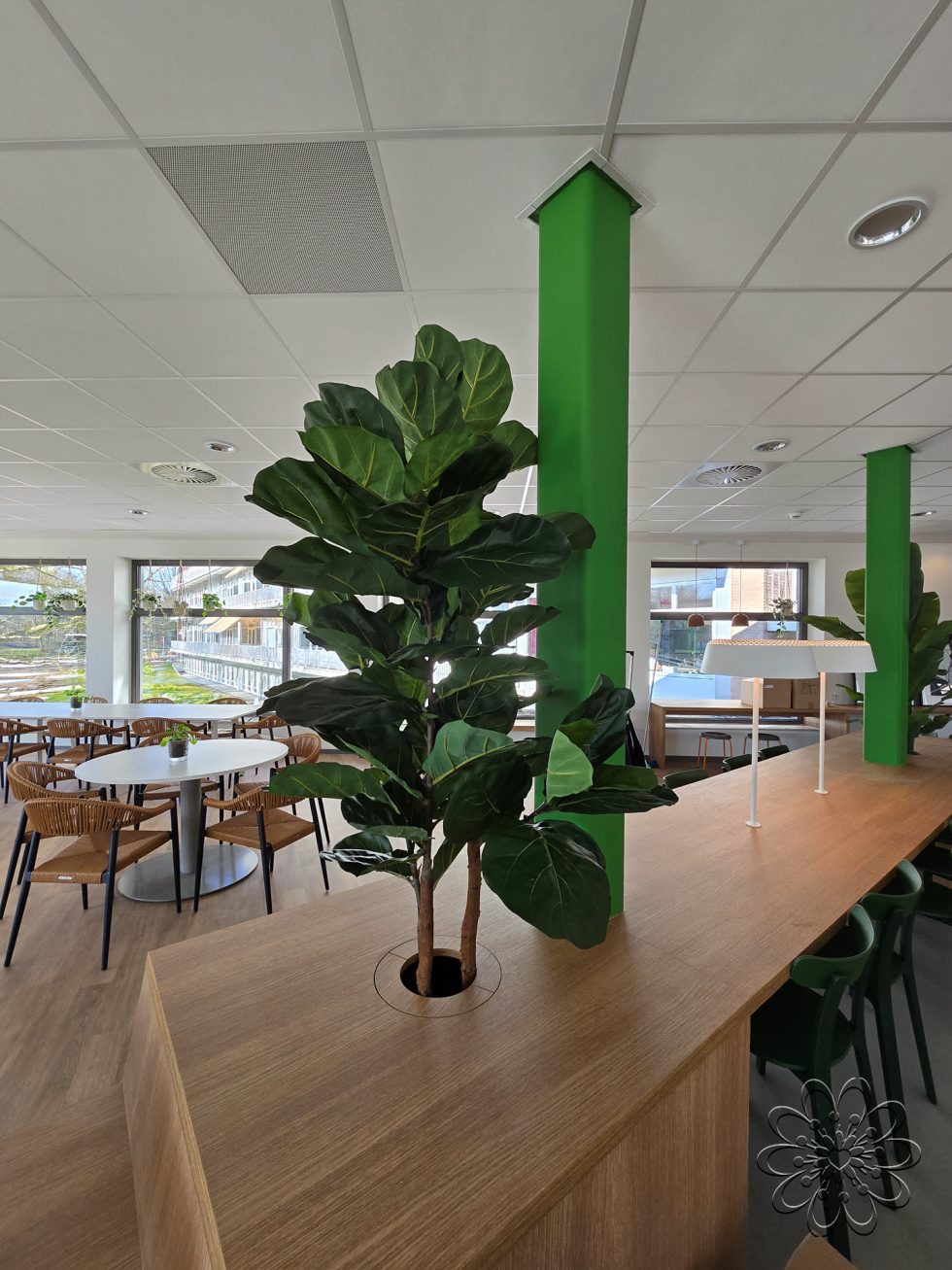 Zijden planten bij UMCG Centrum voor Revalidatie te Haren