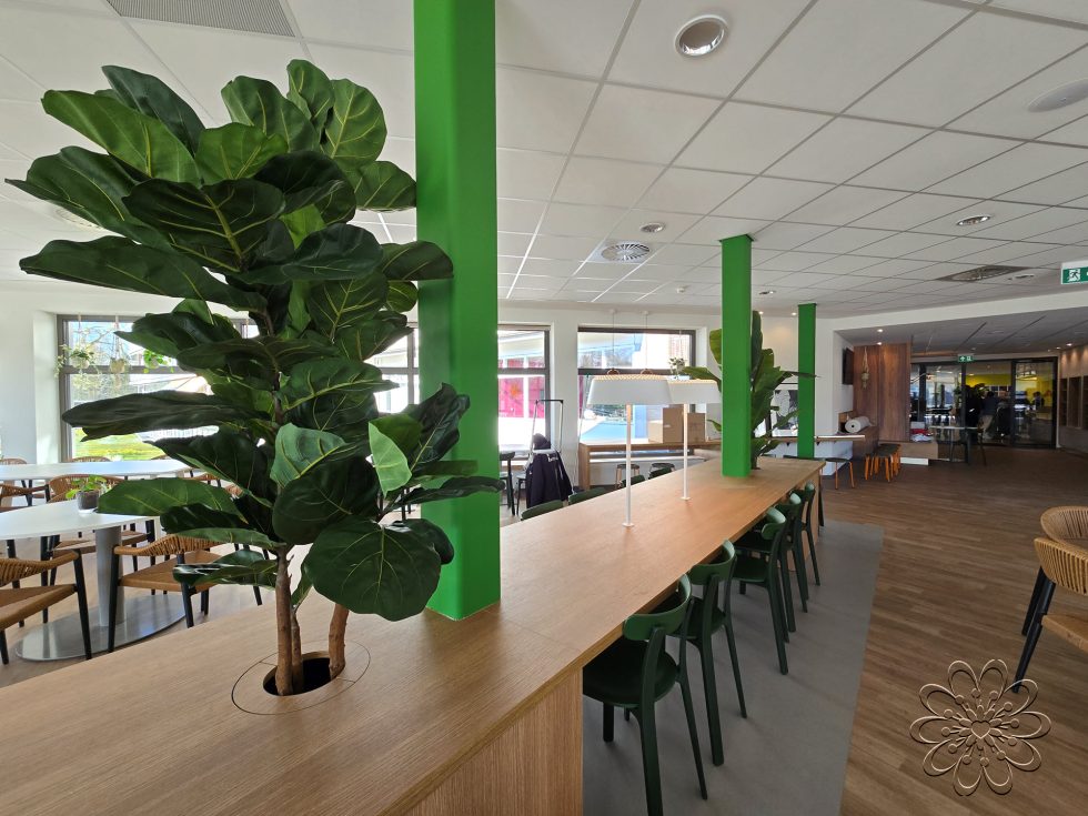 Zijden planten bij UMCG Centrum voor Revalidatie te Haren