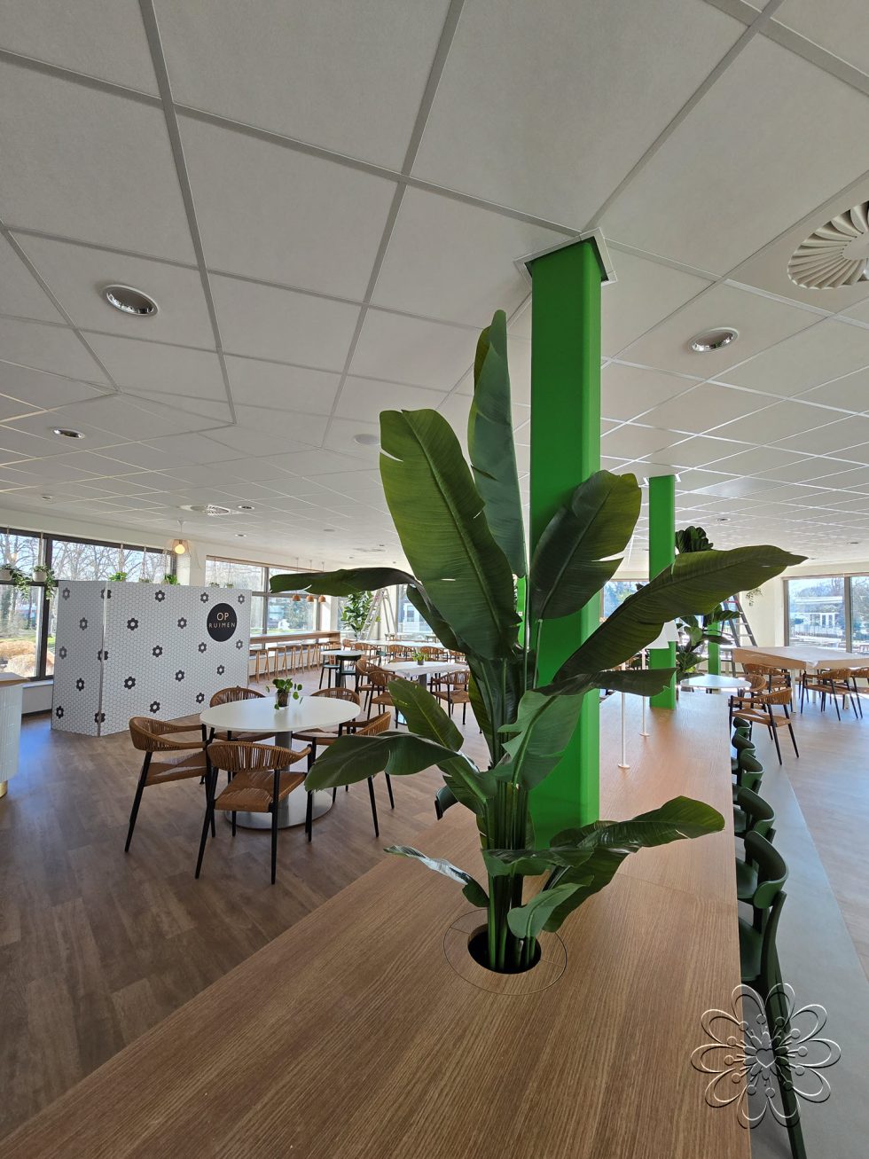 Zijden planten bij UMCG Centrum voor Revalidatie te Haren