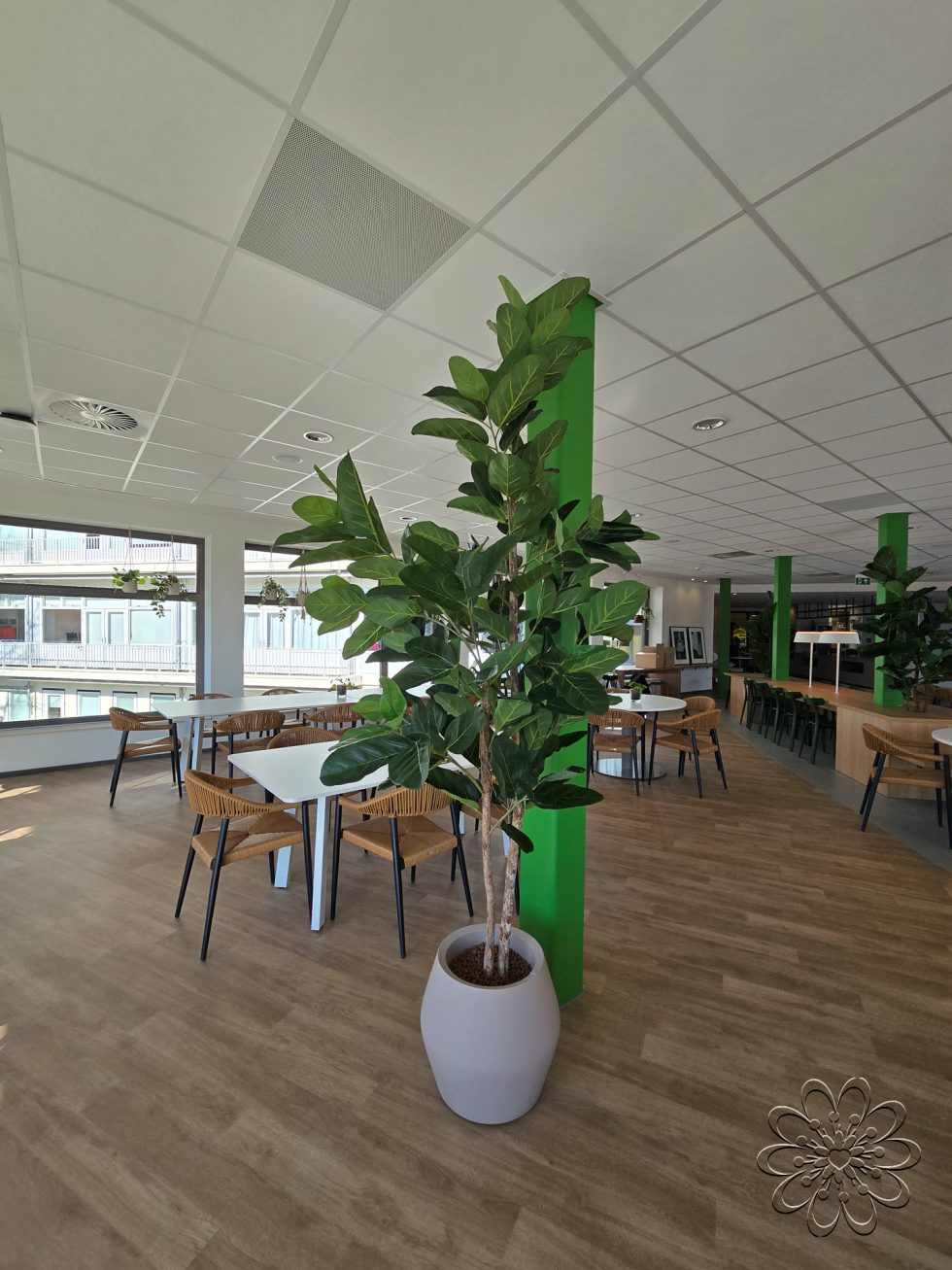 Zijden planten bij UMCG Centrum voor Revalidatie te Haren