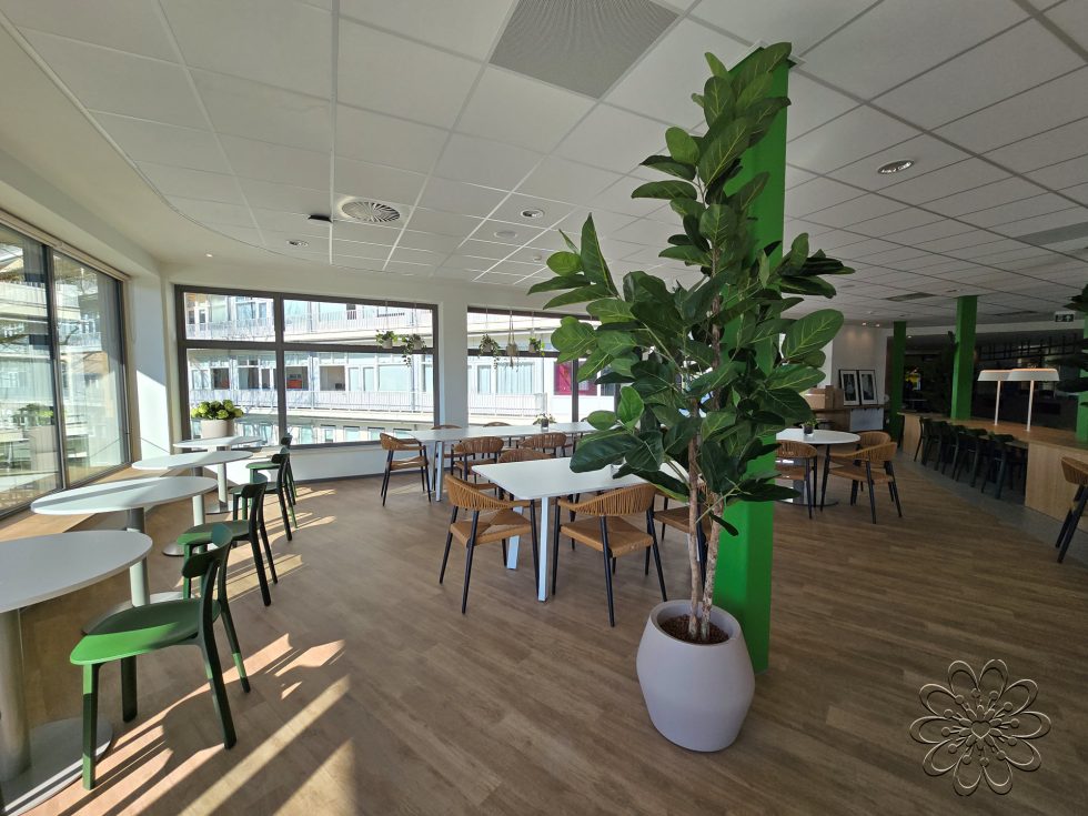 Zijden planten bij UMCG Centrum voor Revalidatie te Haren