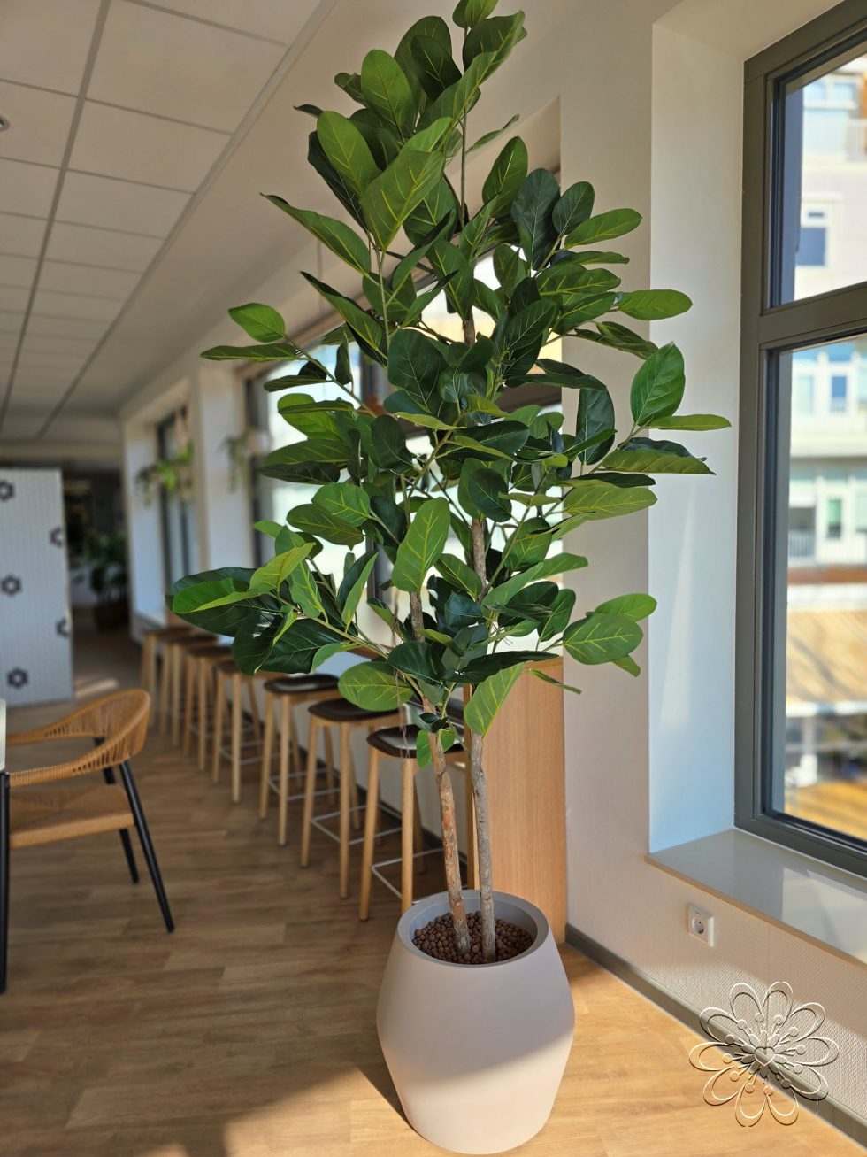 Zijden planten bij UMCG Centrum voor Revalidatie te Haren