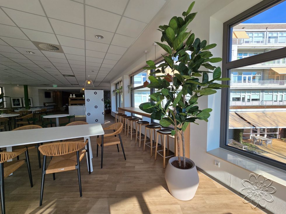 Zijden planten bij UMCG Centrum voor Revalidatie te Haren
