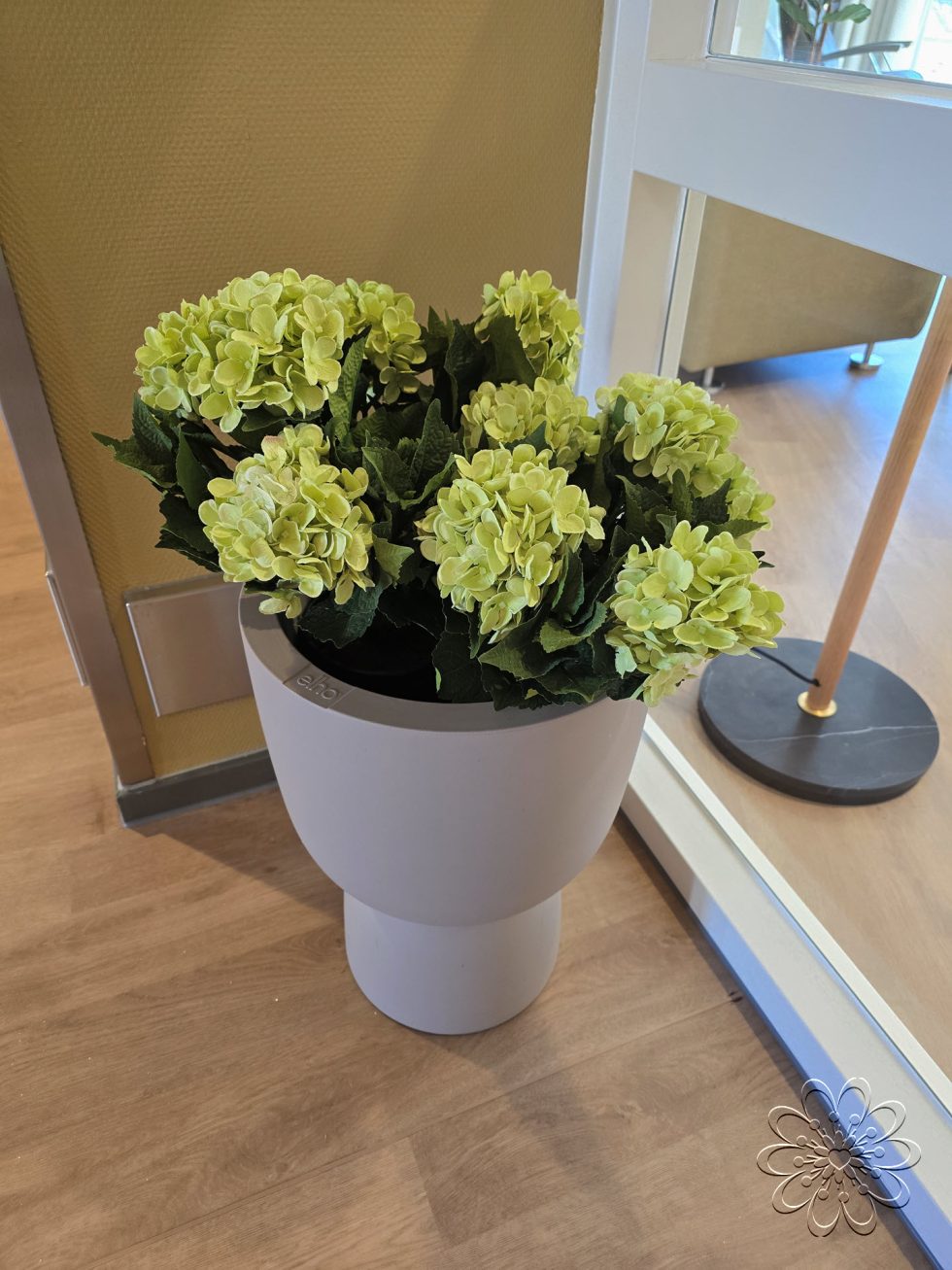 Zijden planten bij UMCG Centrum voor Revalidatie te Haren