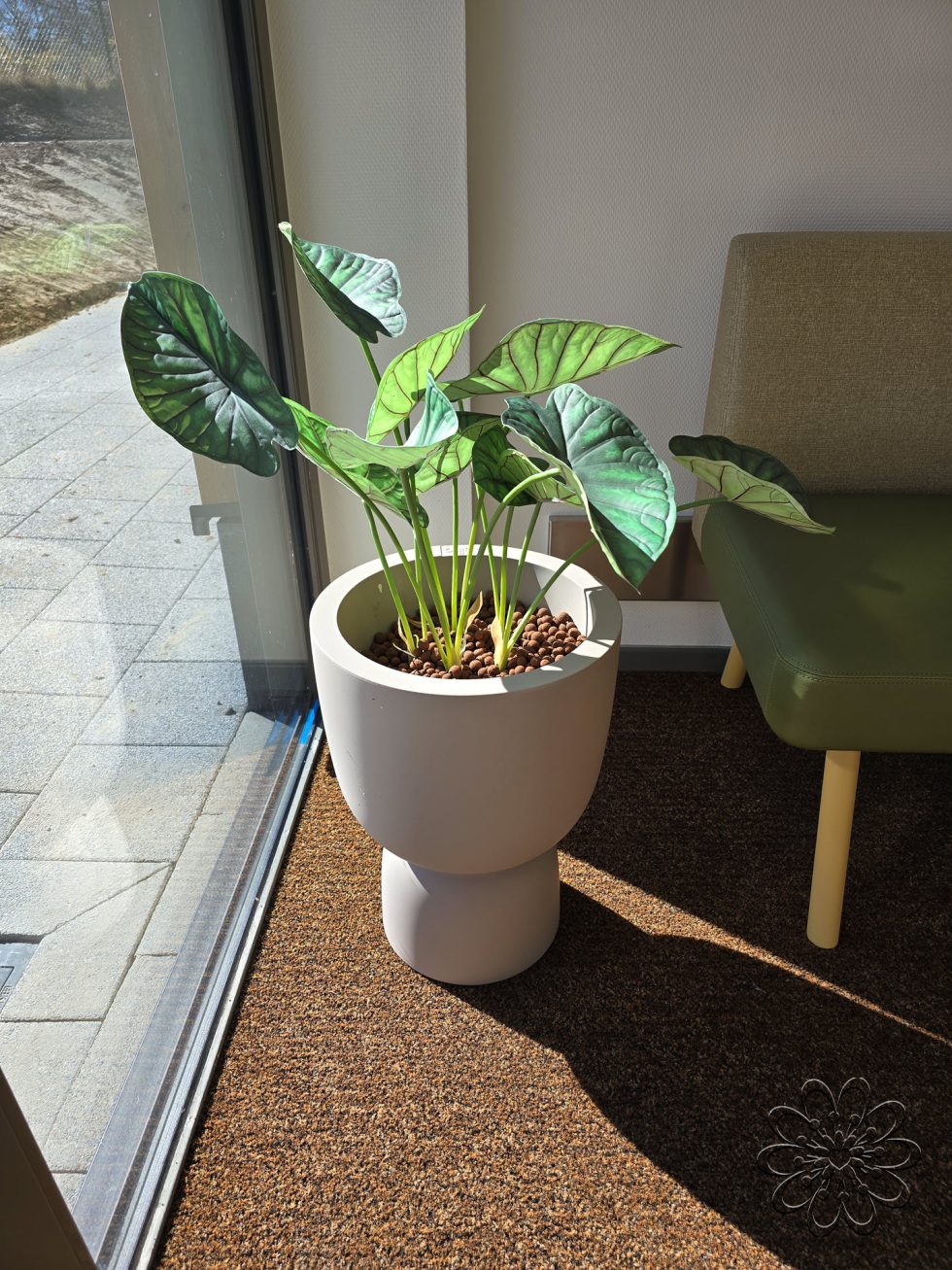 Zijden planten bij UMCG Centrum voor Revalidatie te Haren