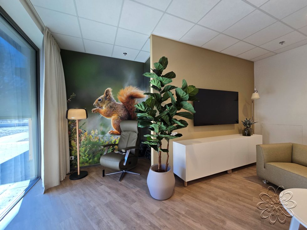 Zijden planten bij UMCG Centrum voor Revalidatie te Haren