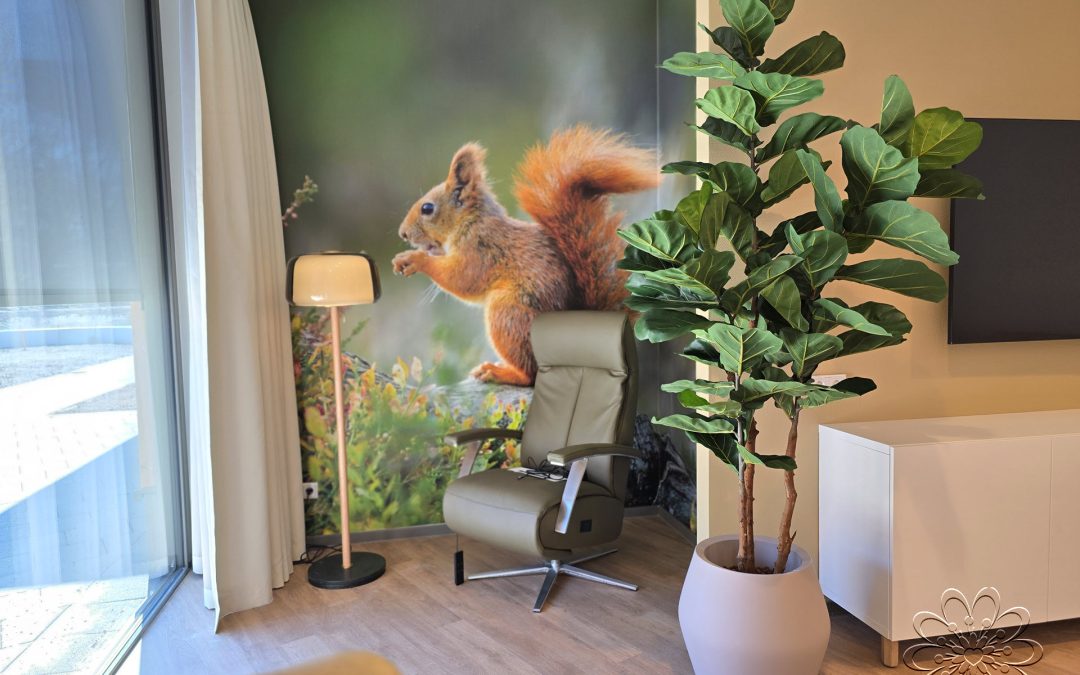 Zijden planten UMCG Beatrixoord Zuidzicht