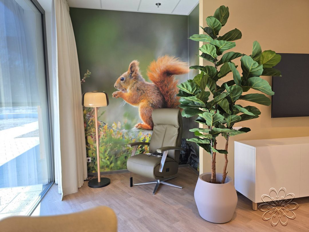 Zijden planten UMCG Beatrixoord Zuidzicht