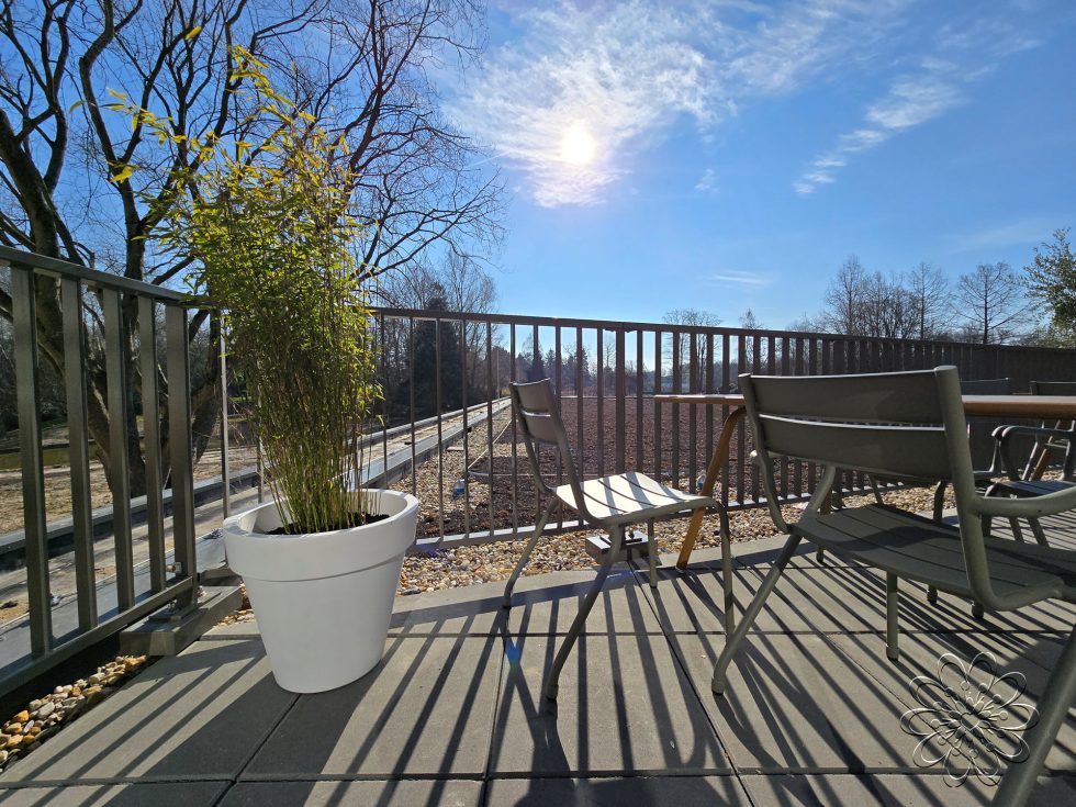 Zijden planten bij UMCG Centrum voor Revalidatie te Haren