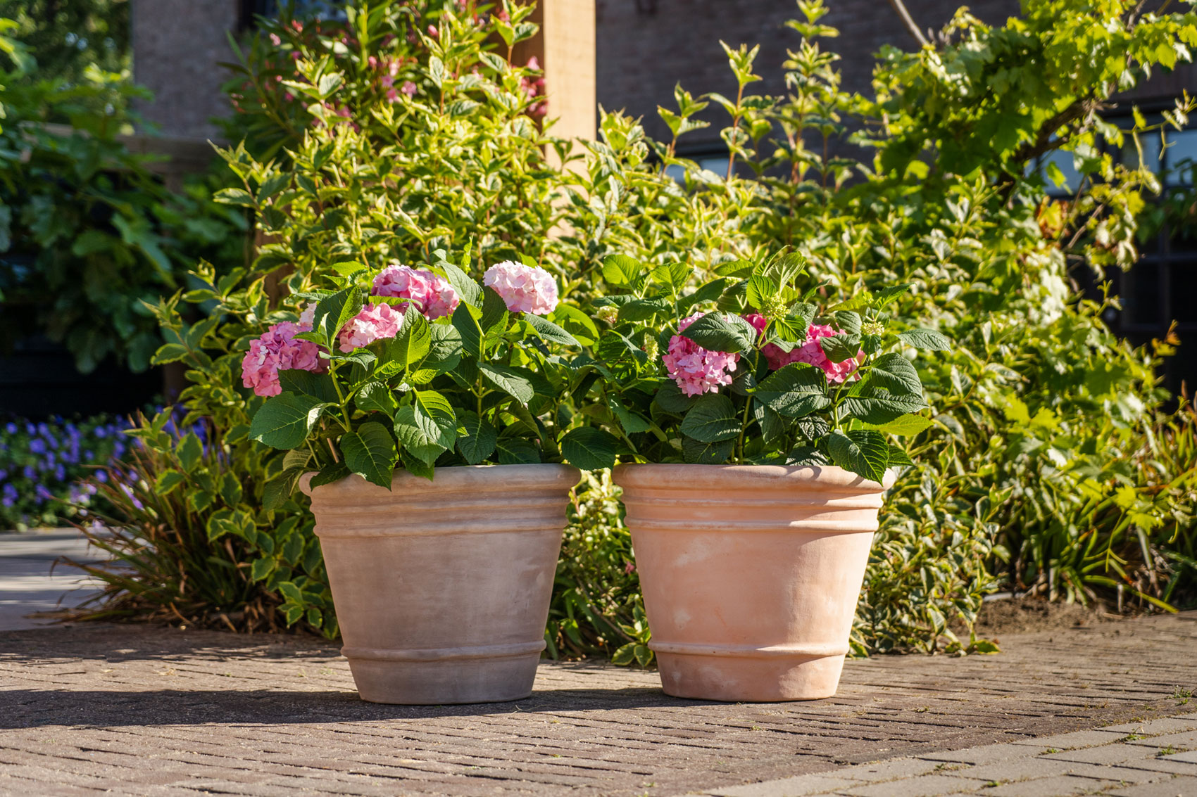 Krat Doppio terracotta potten Ter Steege TS Collection - Terracotta potten voor buitenplanten