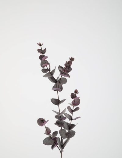 Zijden bloemen kopen doe je bij Bloemsierkunst Groeneveld Haren Groningen