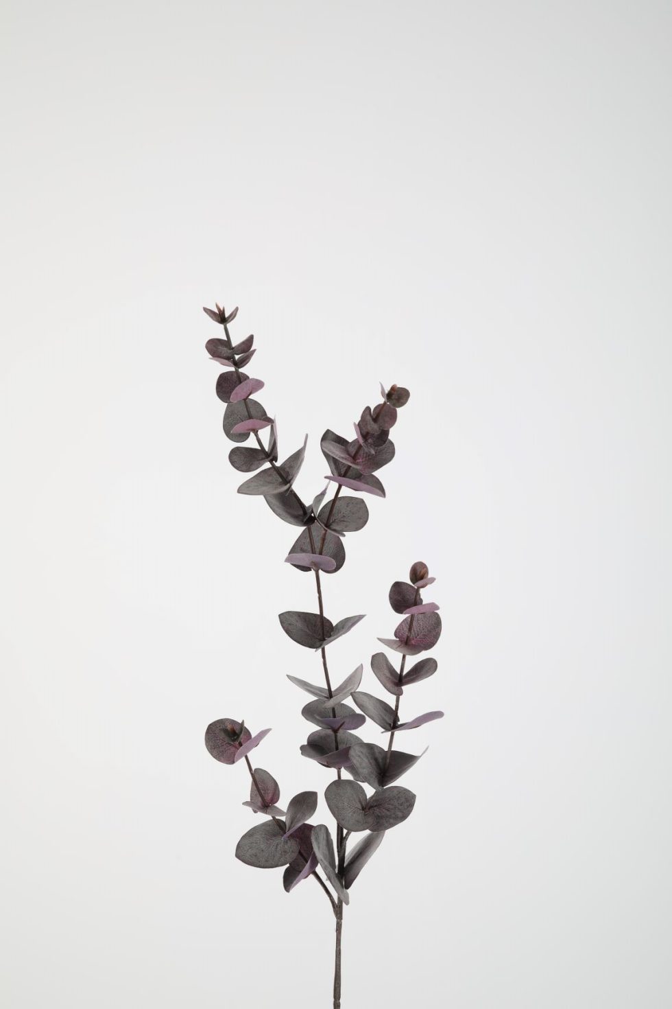 Zijden bloemen kopen doe je bij Bloemsierkunst Groeneveld Haren Groningen