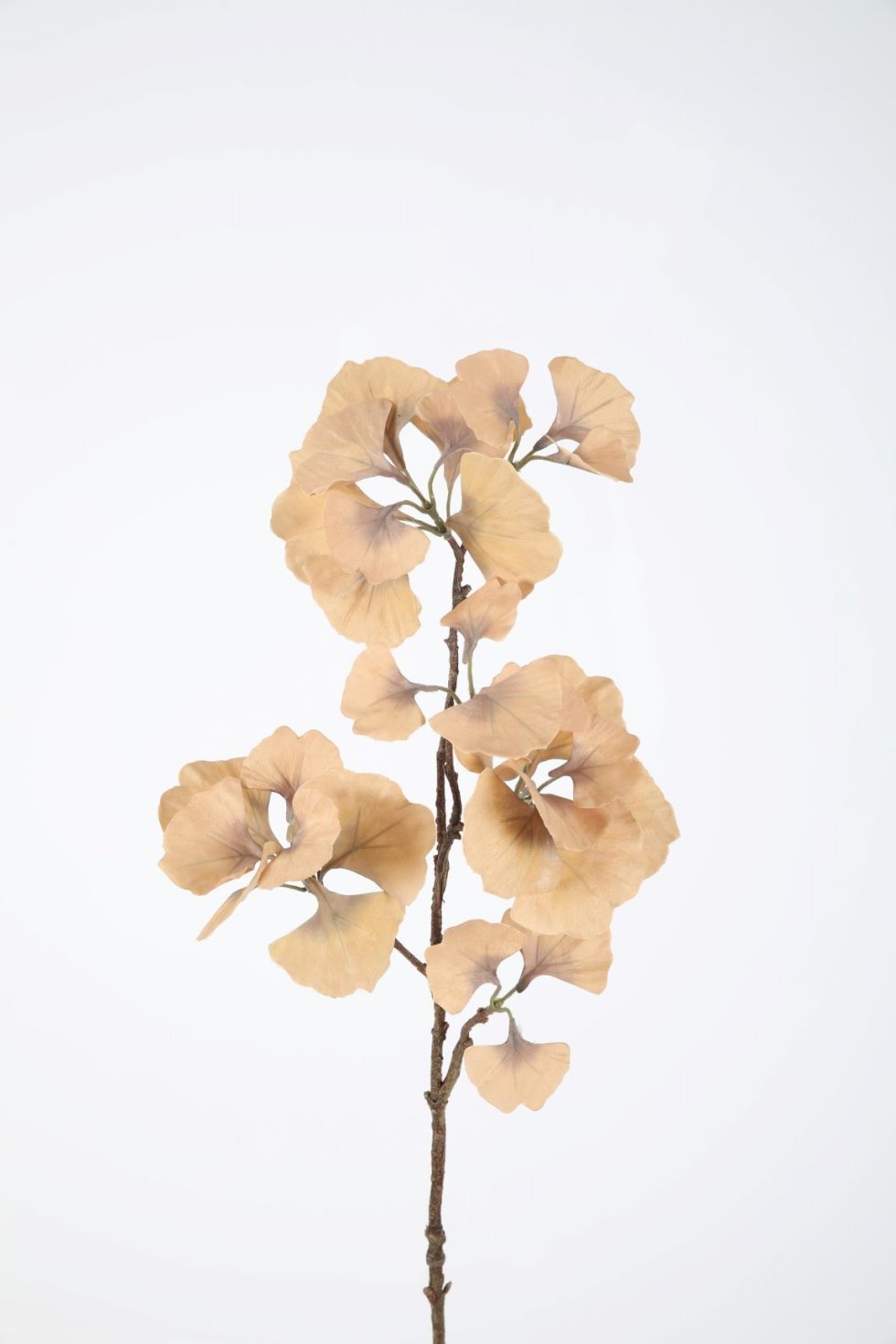 Zijden bloemen kopen doe je bij Bloemsierkunst Groeneveld Haren Groningen