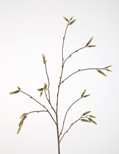 Zijden bloemen kopen doe je bij Bloemsierkunst Groeneveld Haren Groningen