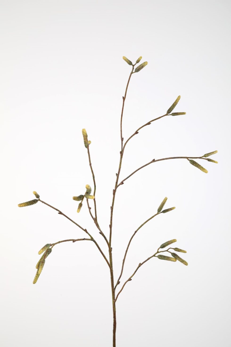 Zijden bloemen kopen doe je bij Bloemsierkunst Groeneveld Haren Groningen