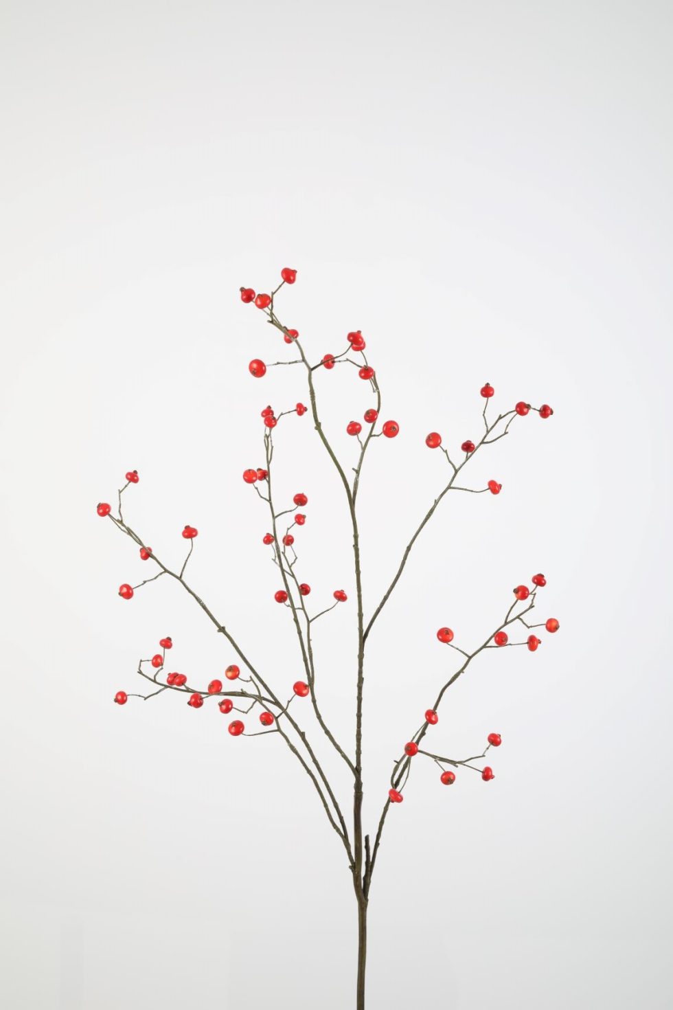 Zijden bloemen kopen doe je bij Bloemsierkunst Groeneveld Haren Groningen