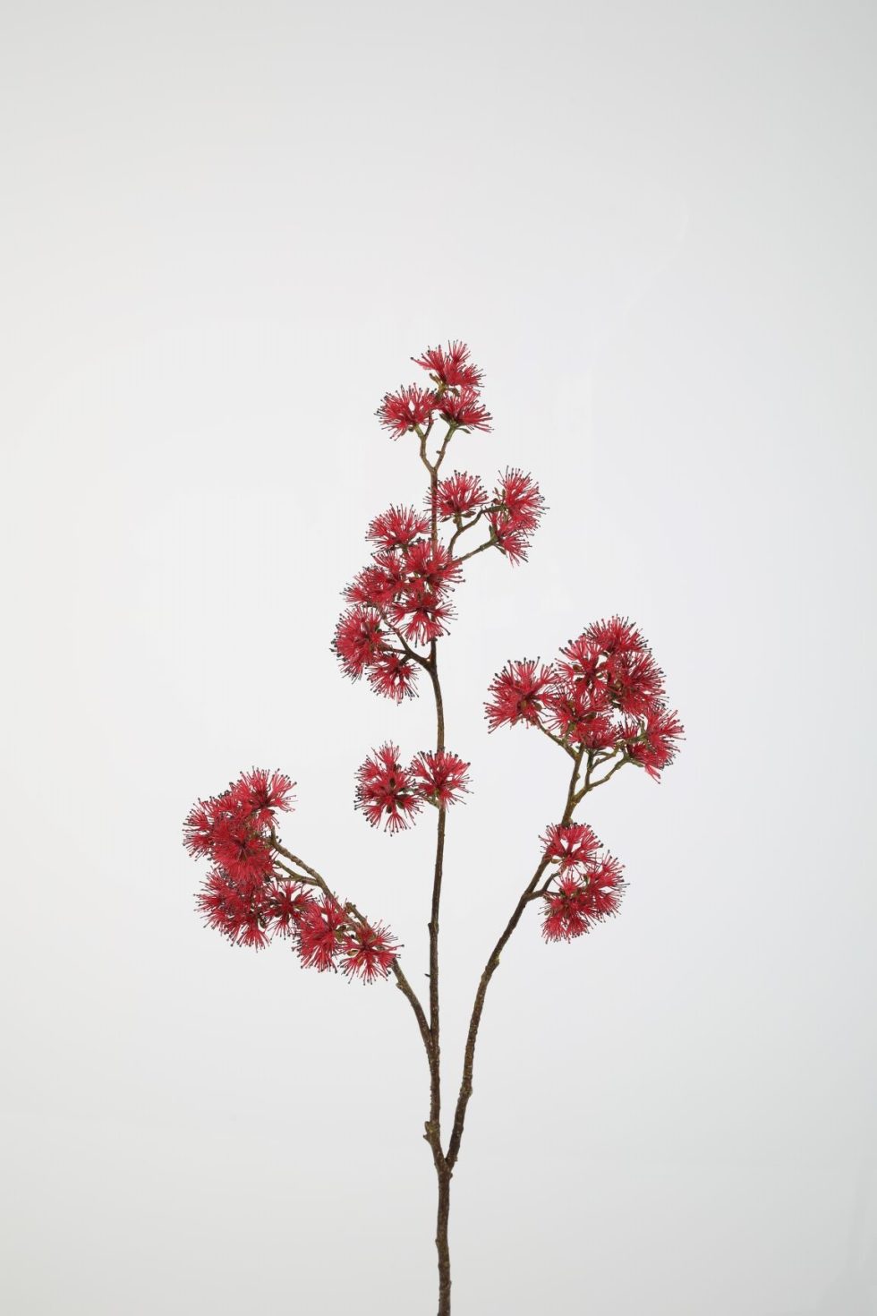 Zijden bloemen kopen doe je bij Bloemsierkunst Groeneveld Haren Groningen