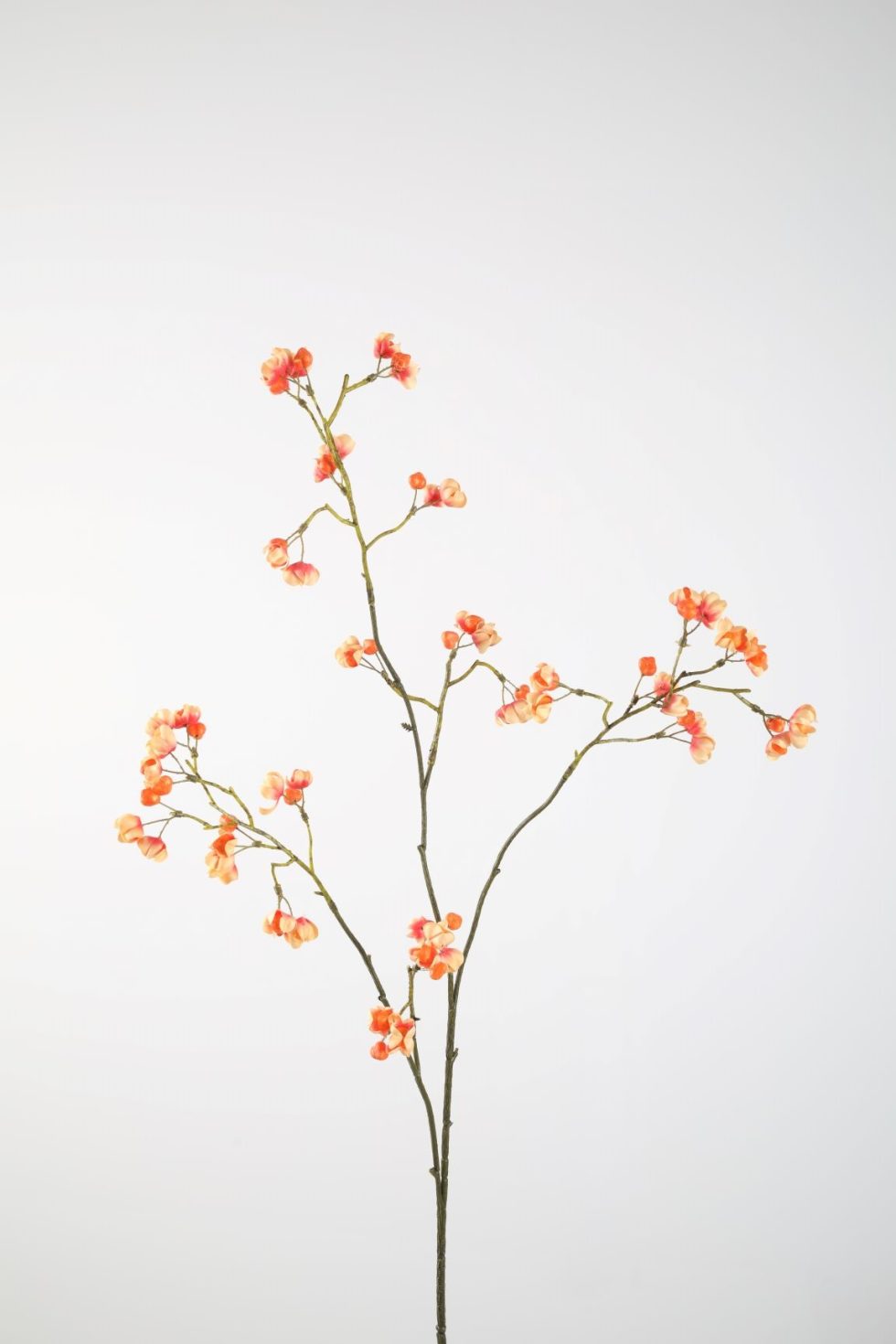 Zijden bloemen kopen doe je bij Bloemsierkunst Groeneveld Haren Groningen