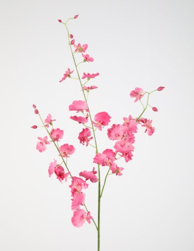 Zijden bloemen kopen doe je bij Bloemsierkunst Groeneveld Haren Groningen