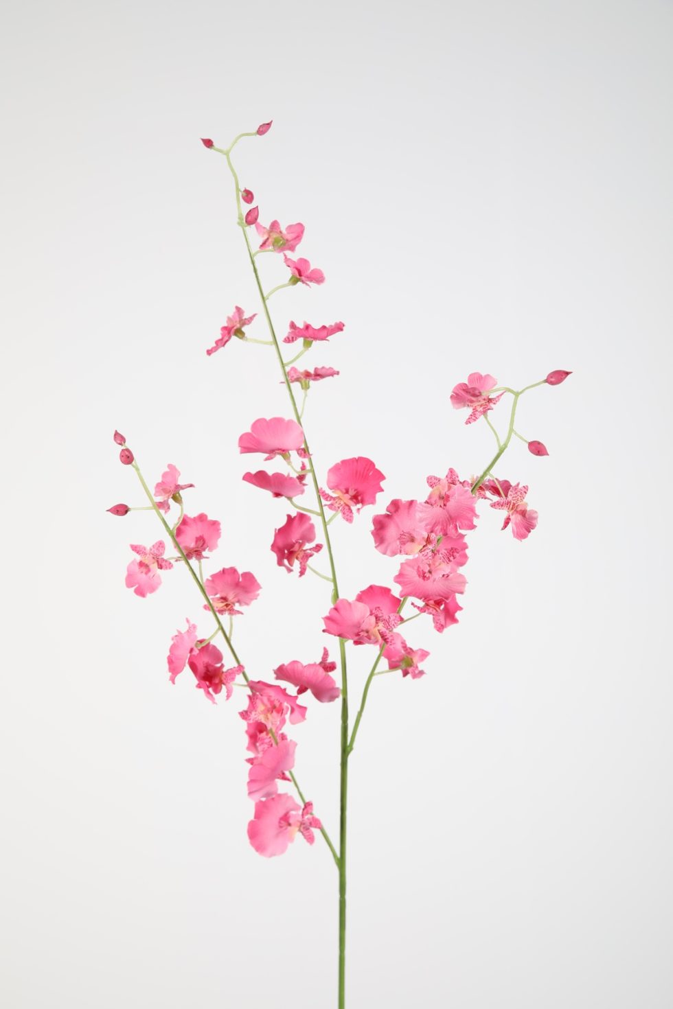 Zijden bloemen kopen doe je bij Bloemsierkunst Groeneveld Haren Groningen