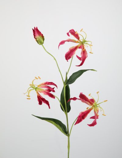 Zijden bloemen kopen doe je bij Bloemsierkunst Groeneveld Haren Groningen