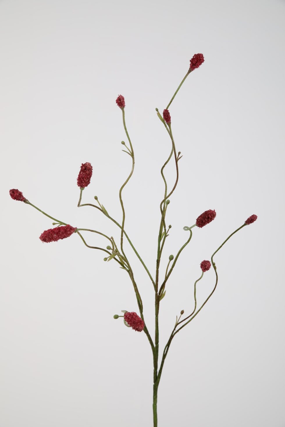 Zijden bloemen kopen doe je bij Bloemsierkunst Groeneveld Haren Groningen