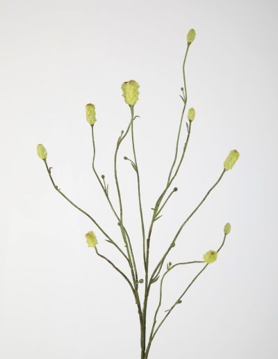 Zijden bloemen kopen doe je bij Bloemsierkunst Groeneveld Haren Groningen