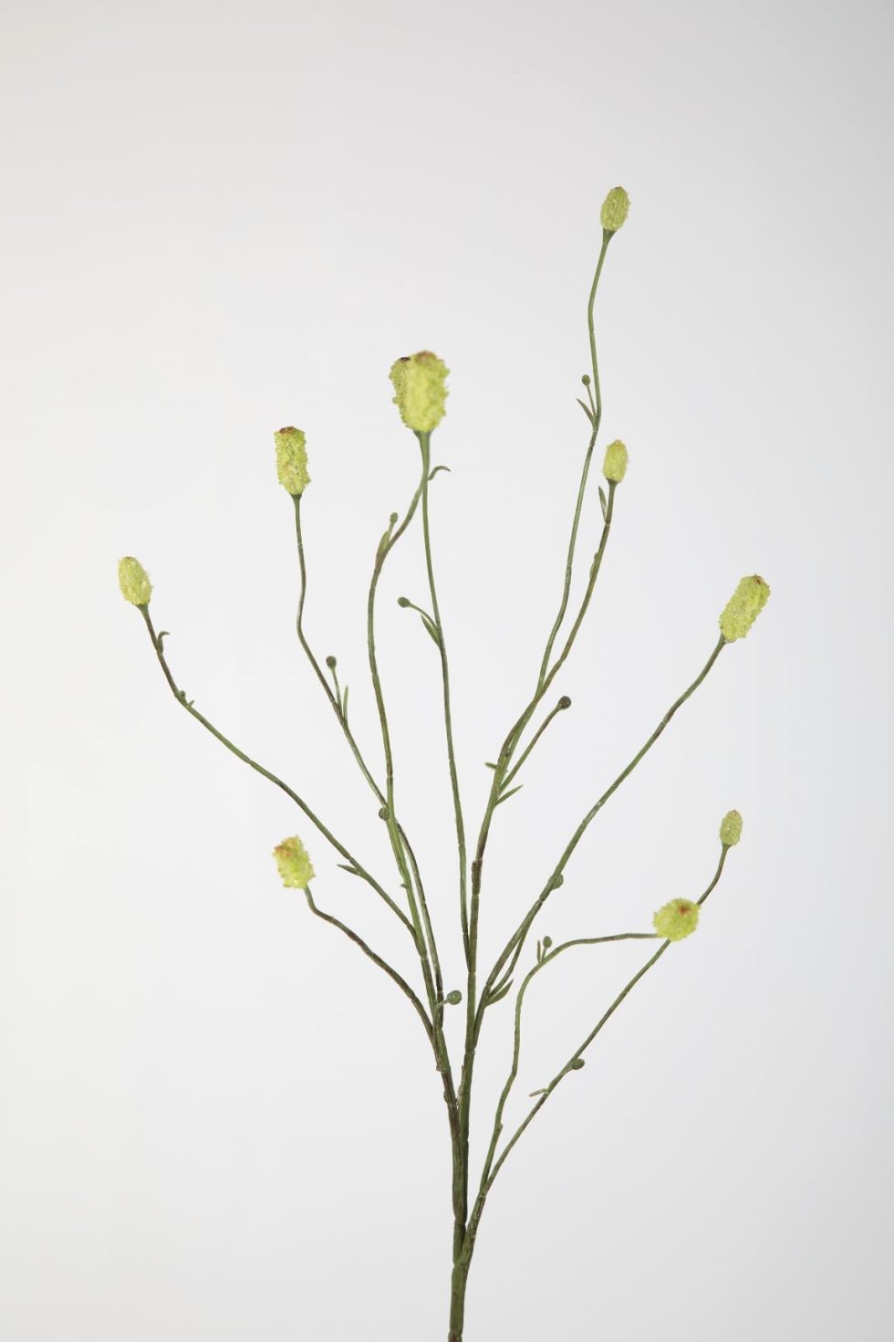 Zijden bloemen kopen doe je bij Bloemsierkunst Groeneveld Haren Groningen