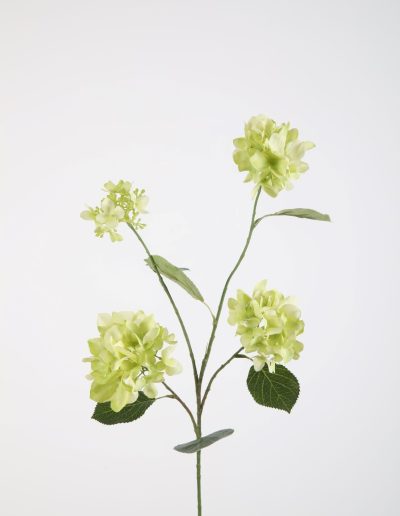 Zijden bloemen kopen doe je bij Bloemsierkunst Groeneveld Haren Groningen