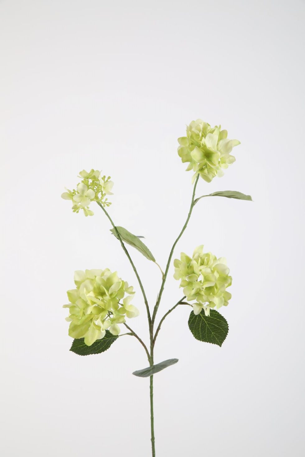 Zijden bloemen kopen doe je bij Bloemsierkunst Groeneveld Haren Groningen