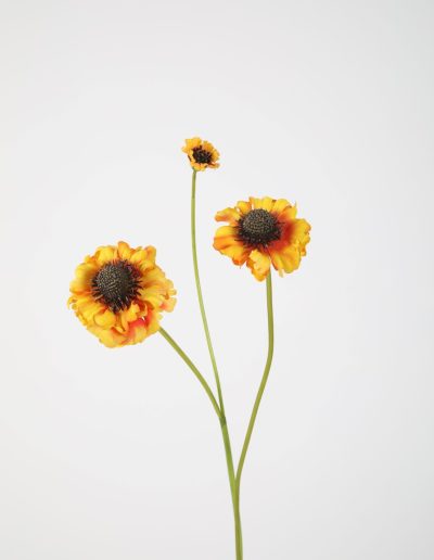 Zijden bloemen kopen doe je bij Bloemsierkunst Groeneveld Haren Groningen