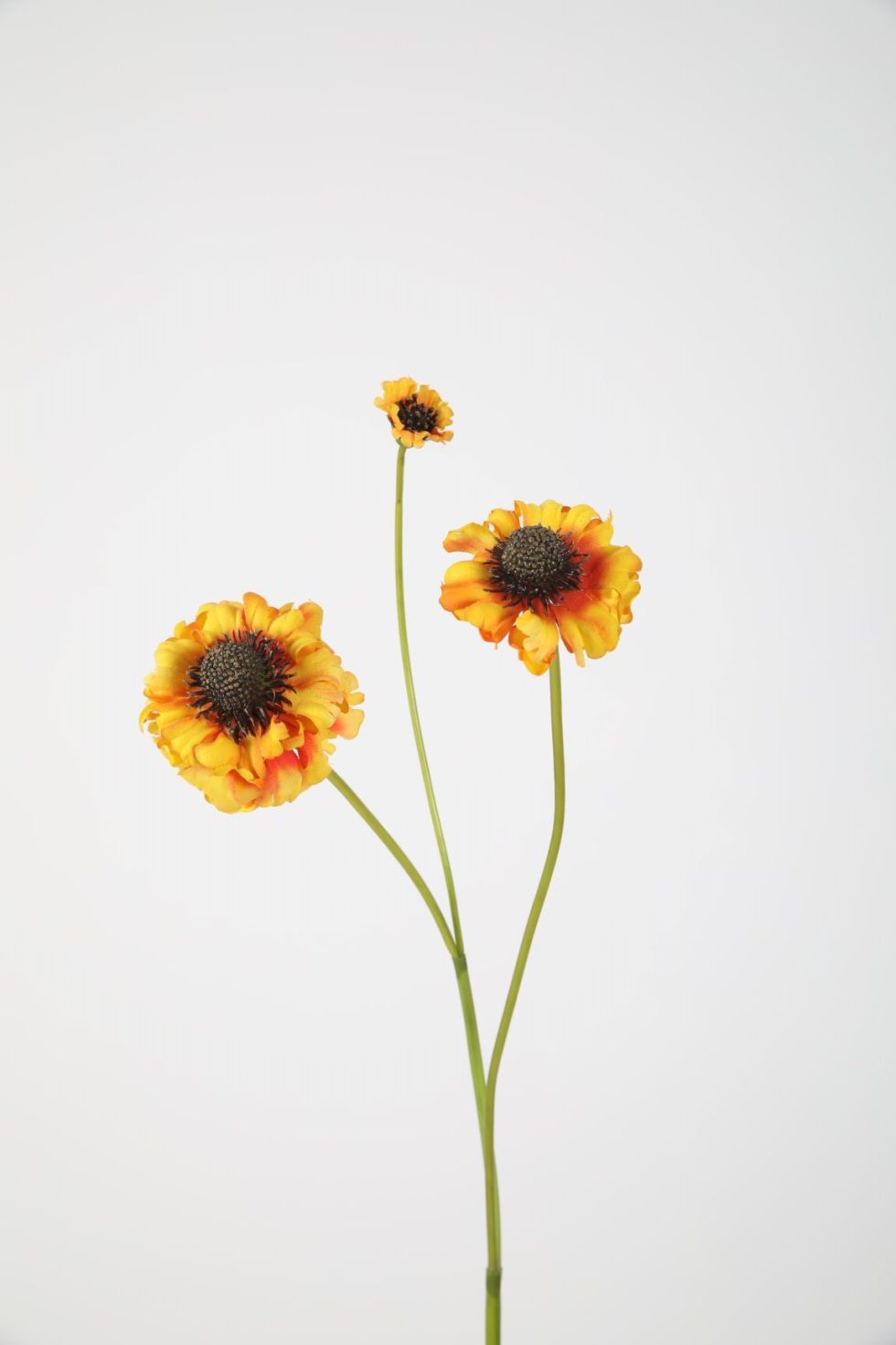 Zijden bloemen kopen doe je bij Bloemsierkunst Groeneveld Haren Groningen