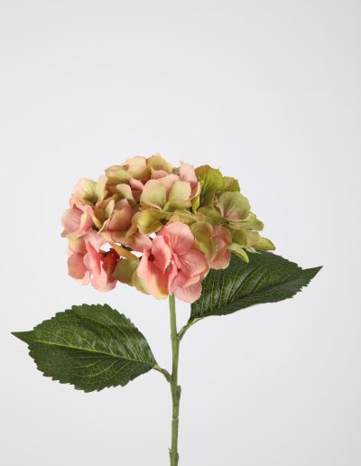 Zijden bloemen kopen doe je bij Bloemsierkunst Groeneveld Haren Groningen