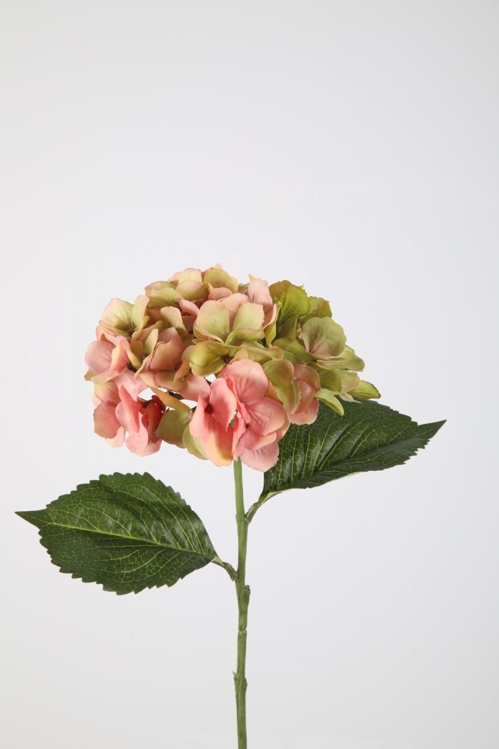 Zijden bloemen kopen doe je bij Bloemsierkunst Groeneveld Haren Groningen