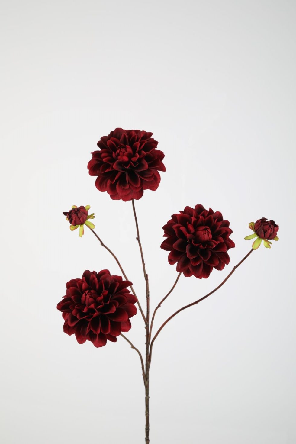 Zijden bloemen kopen doe je bij Bloemsierkunst Groeneveld Haren Groningen