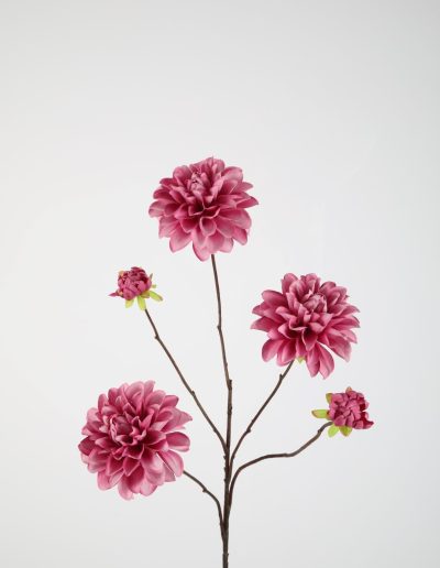 Zijden bloemen kopen doe je bij Bloemsierkunst Groeneveld Haren Groningen