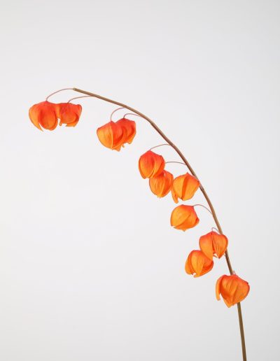 Zijden bloemen kopen doe je bij Bloemsierkunst Groeneveld Haren Groningen