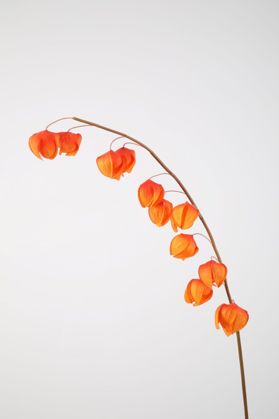 Zijden bloemen kopen doe je bij Bloemsierkunst Groeneveld Haren Groningen