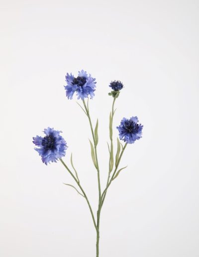 Zijden bloemen kopen doe je bij Bloemsierkunst Groeneveld Haren Groningen