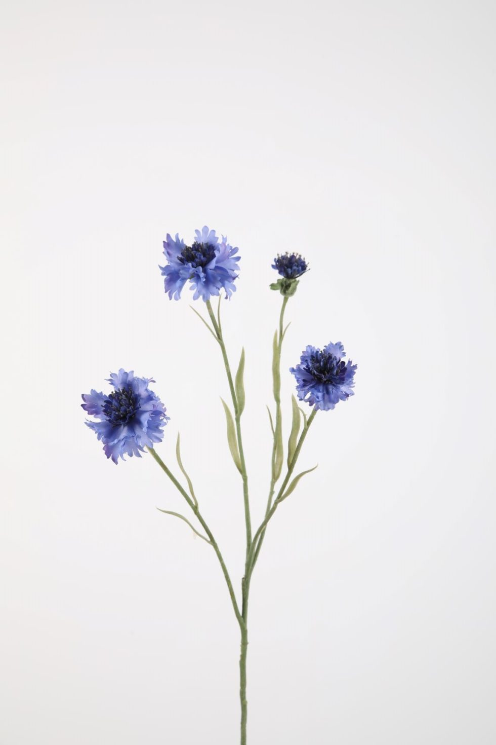 Zijden bloemen kopen doe je bij Bloemsierkunst Groeneveld Haren Groningen