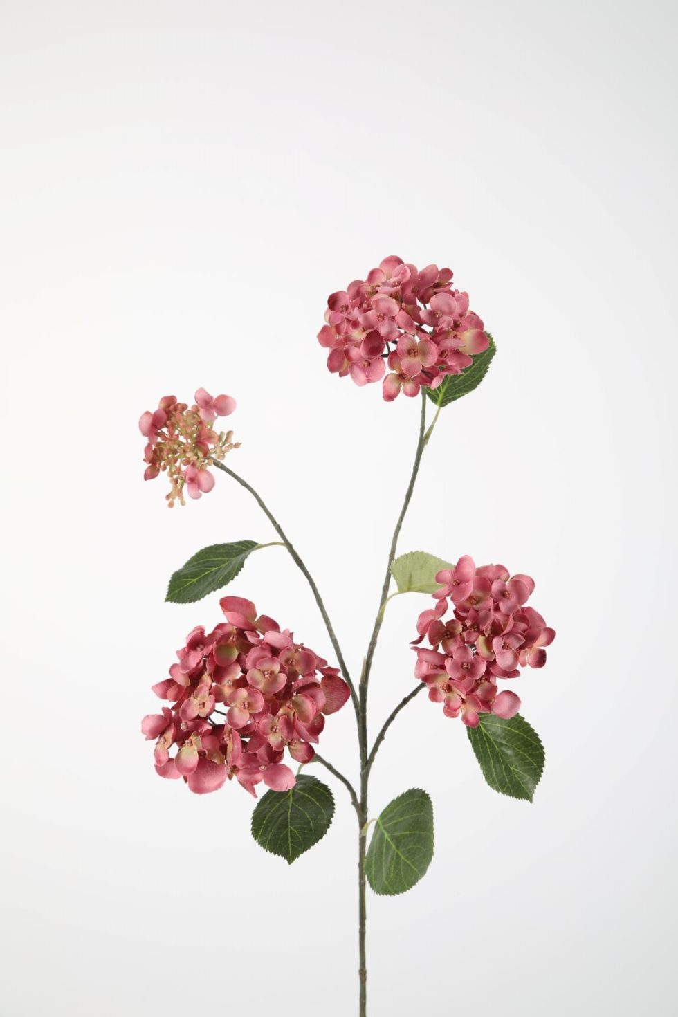 Zijden bloemen kopen doe je bij Bloemsierkunst Groeneveld Haren Groningen