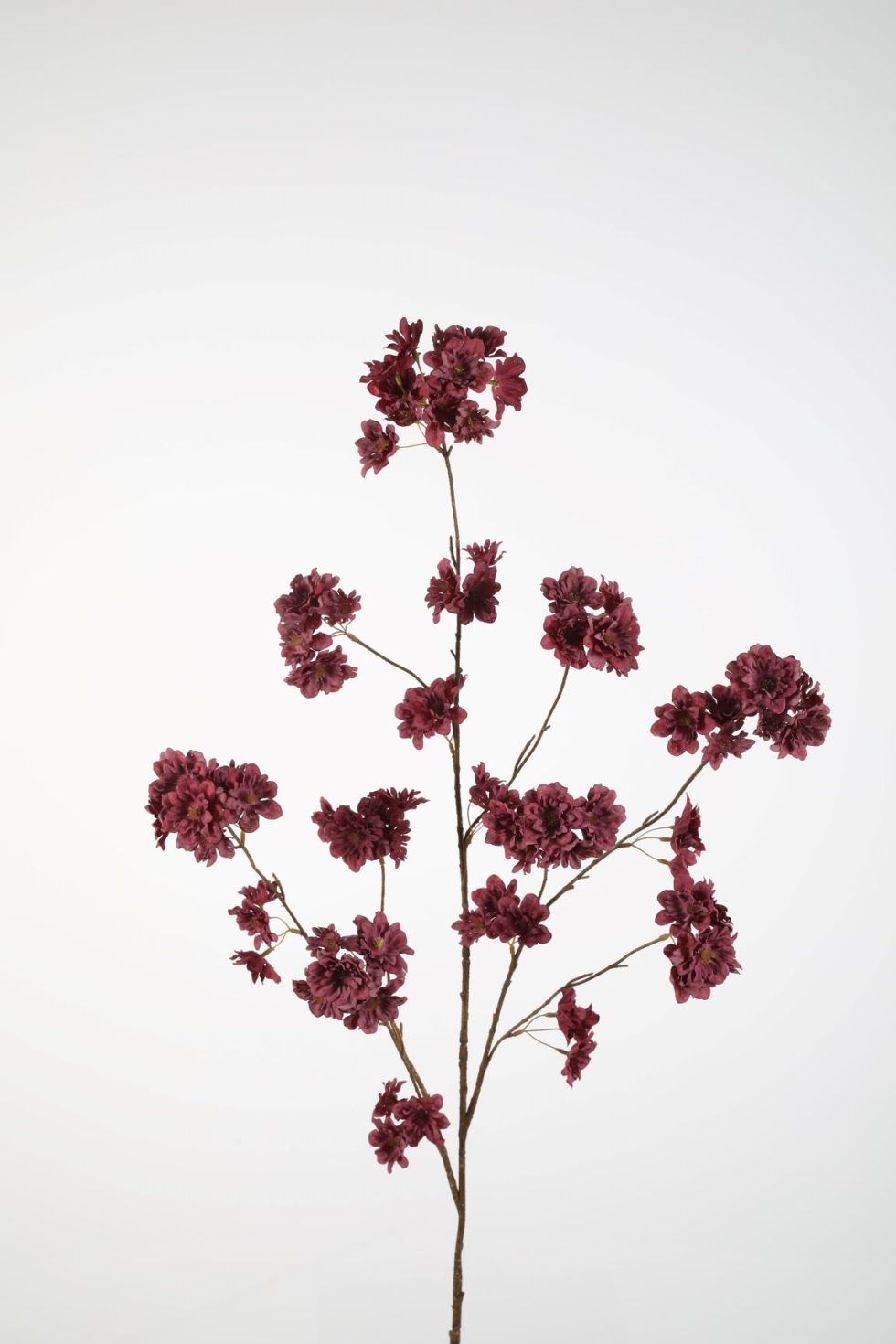 Zijden bloemen kopen doe je bij Bloemsierkunst Groeneveld Haren Groningen