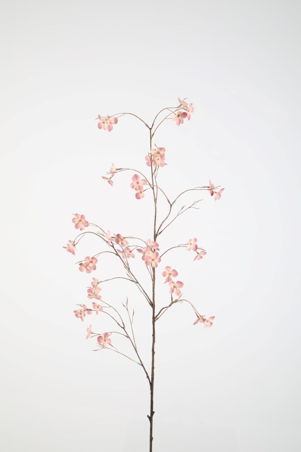 Zijden bloemen kopen doe je bij Bloemsierkunst Groeneveld Haren Groningen