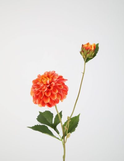 Zijden bloemen kopen doe je bij Bloemsierkunst Groeneveld Haren Groningen