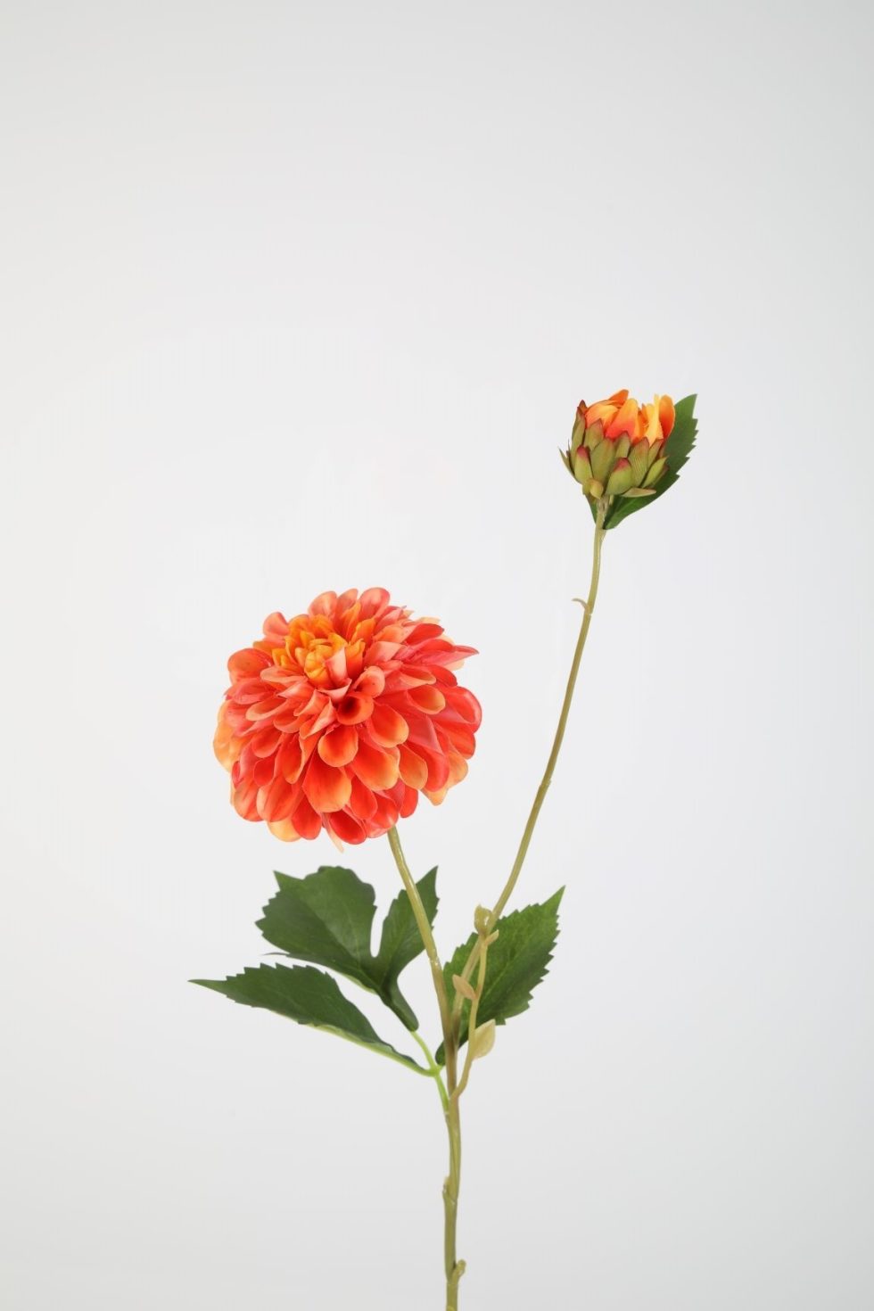 Zijden bloemen kopen doe je bij Bloemsierkunst Groeneveld Haren Groningen