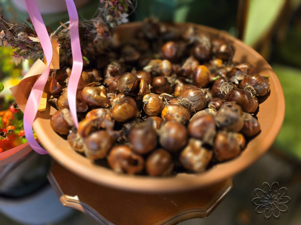 Bloemsierkunst Groeneveld in de herfst sferen