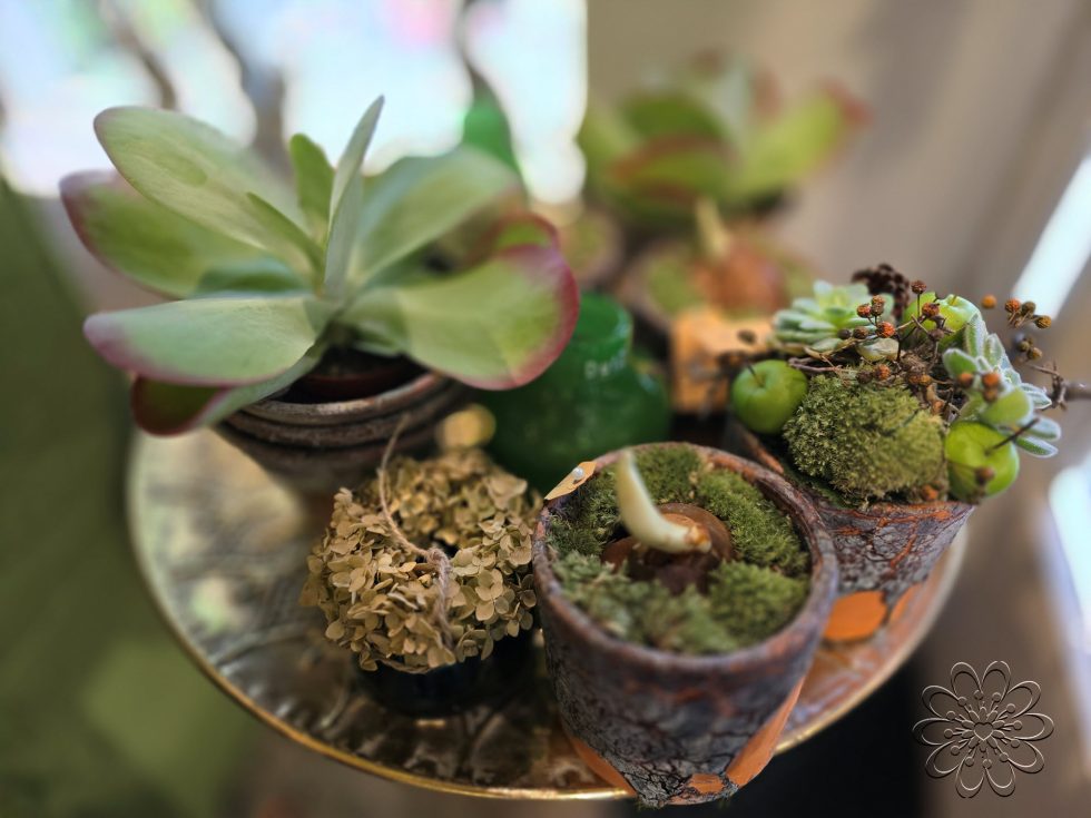 Bloemsierkunst Groeneveld in de herfst sferen