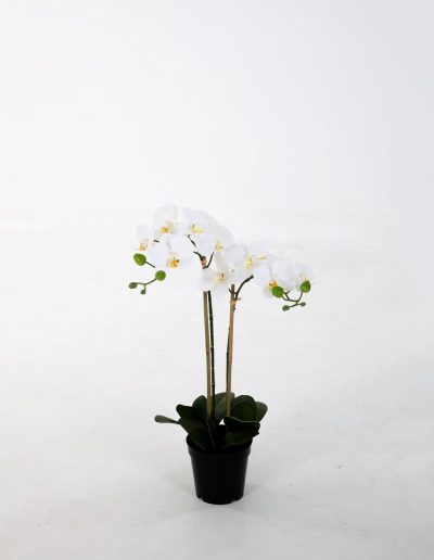 Zijden bloemen kopen doe je bij Bloemsierkunst Groeneveld Haren Groningen